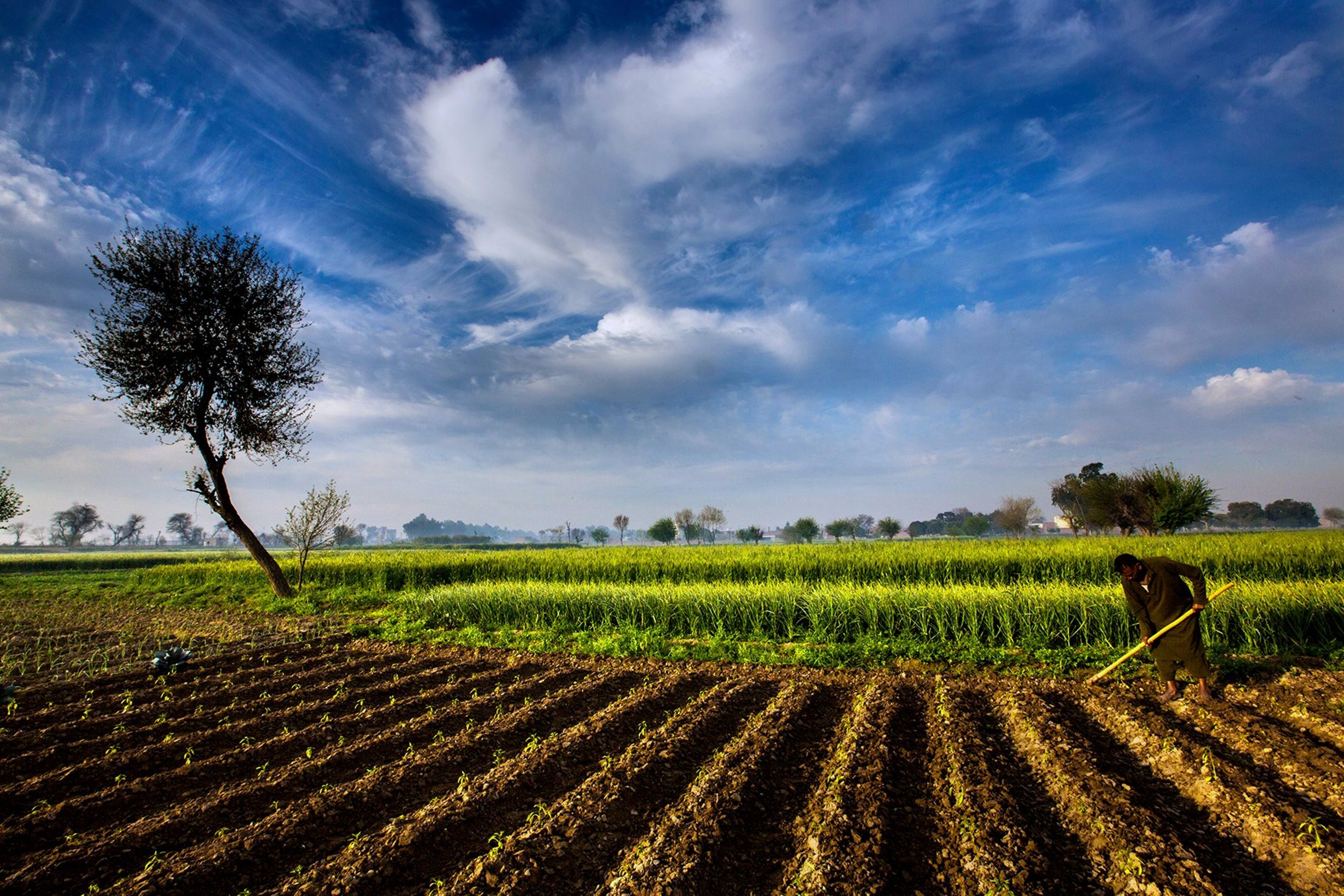 Farm Wallpaper Hd field sky nature agriculture farm 311372 