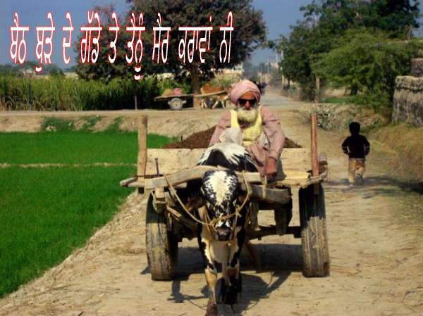 punjabi tractor wallpaper,vehículo,carro,animal de trabajo,área rural,paisaje