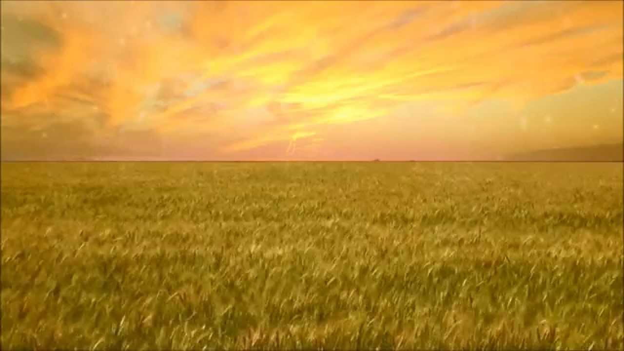 fond d'écran de l'agriculture,prairie,champ,la nature,ciel,plaine