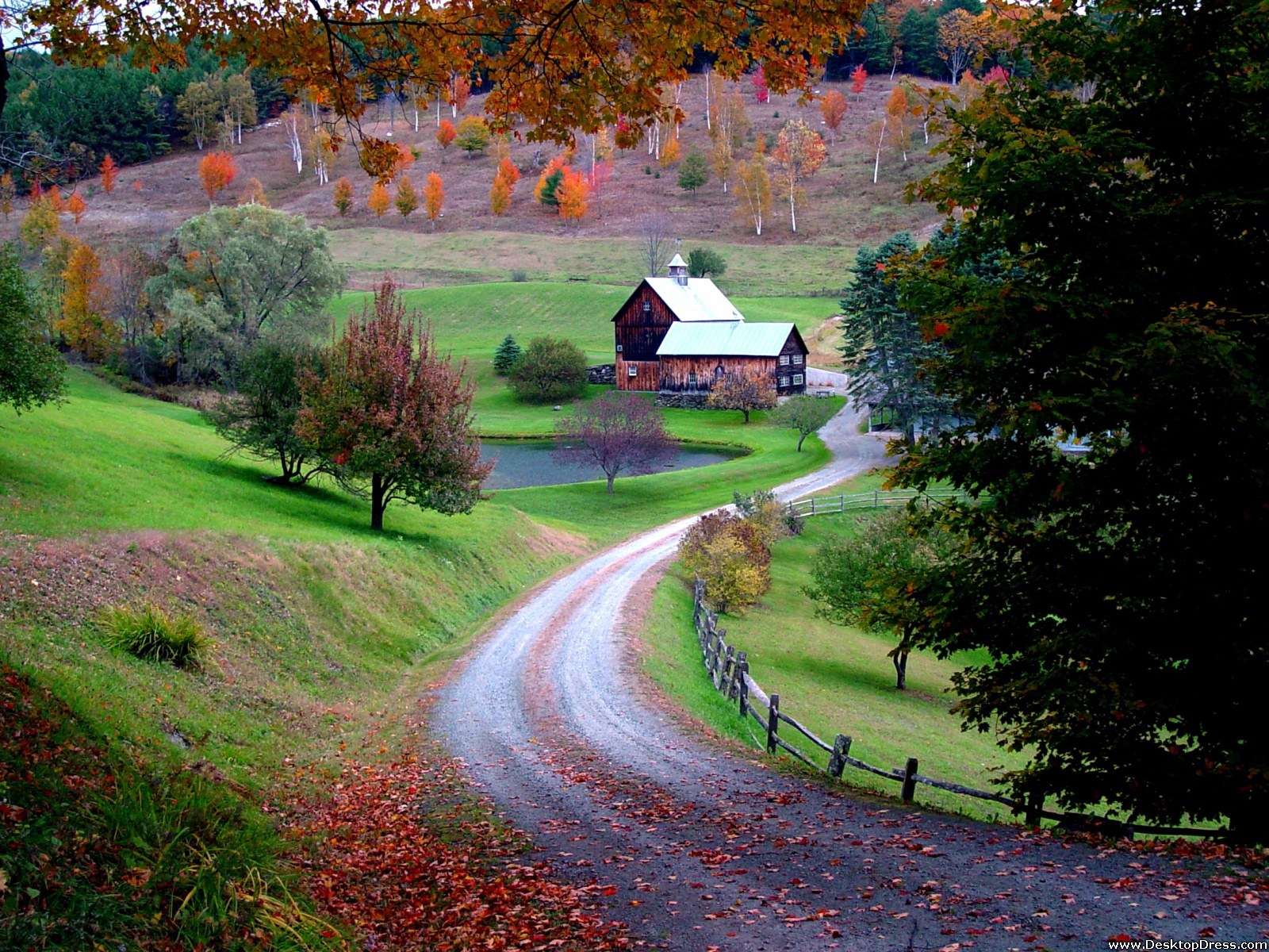 fondo de pantalla de woodstock,paisaje natural,naturaleza,hoja,árbol,otoño
