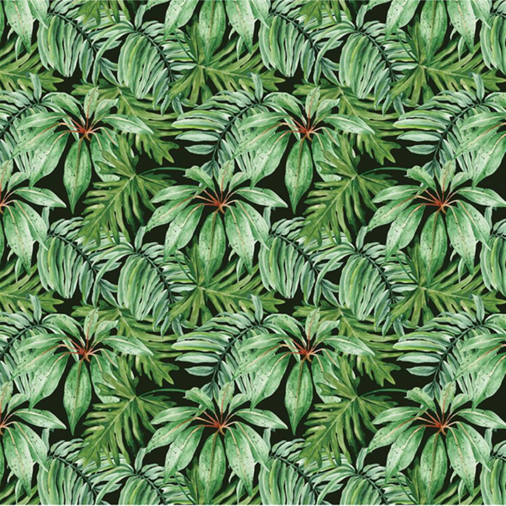 Anewall Banana Leaf Modern Classic Tropical Removable Wallpaper Wallpaperuse