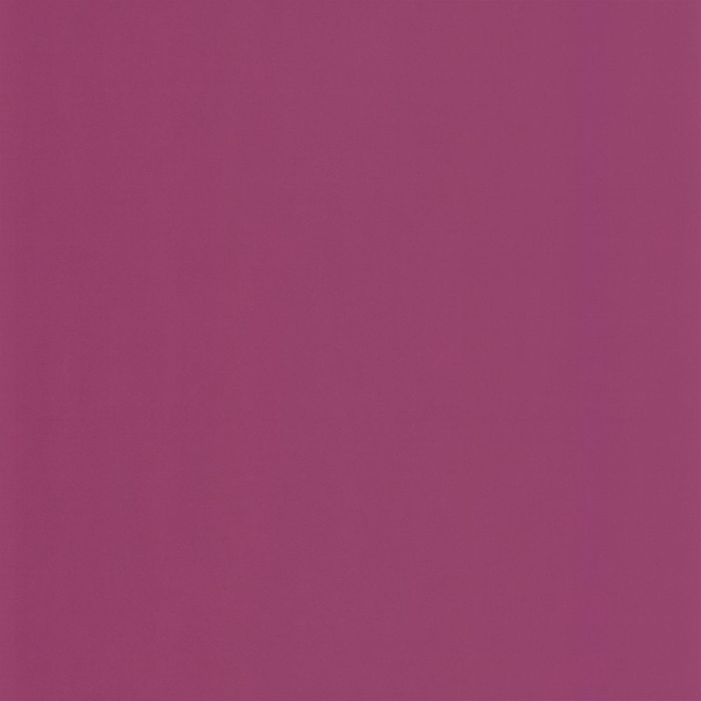 papier peint rose foncé,rose,violet,violet,lilas,rouge