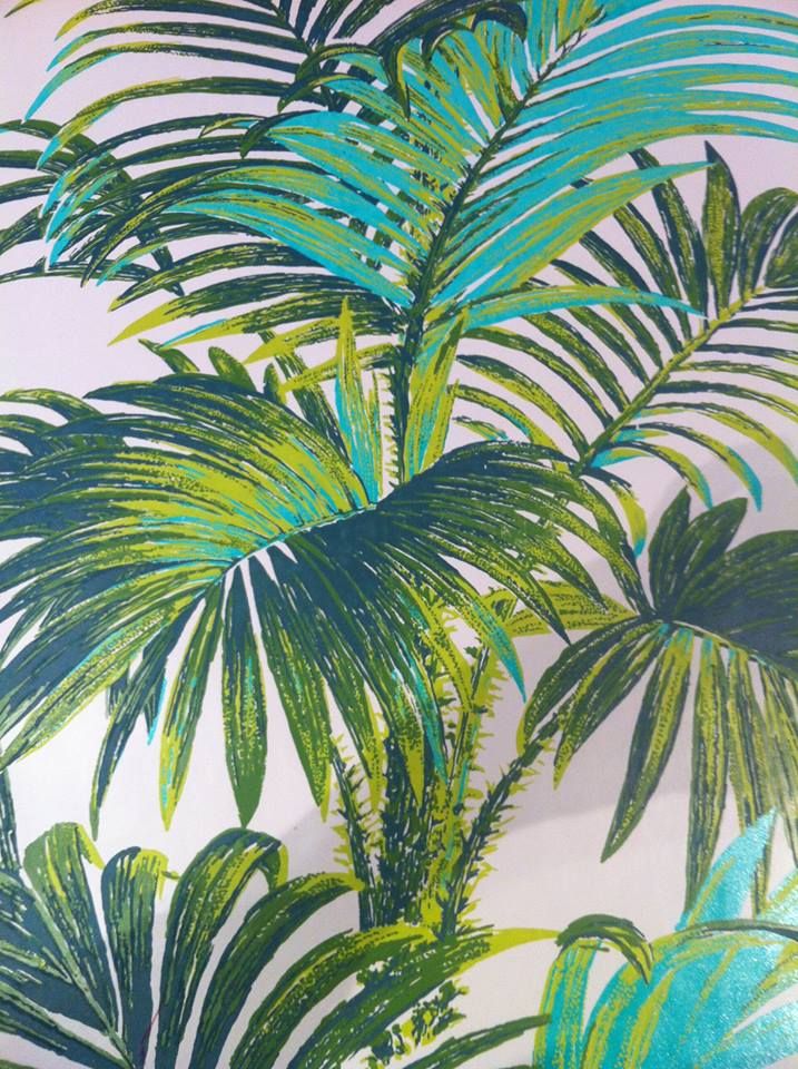 papel pintado con estampado de palma,planta,planta de casa,palmera,árbol,hoja