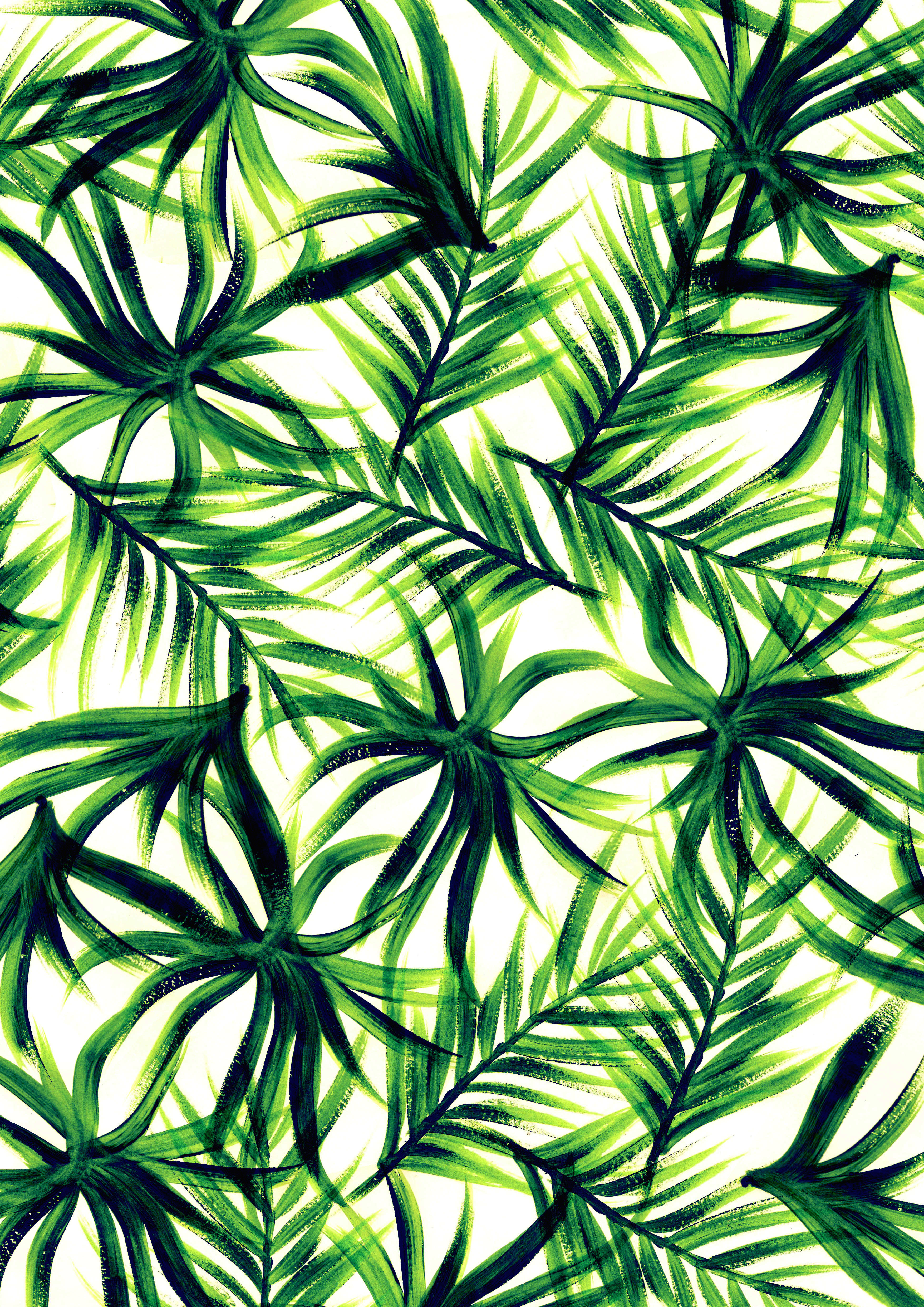 tapete mit palmendruck,blatt,grün,muster,pflanze,design