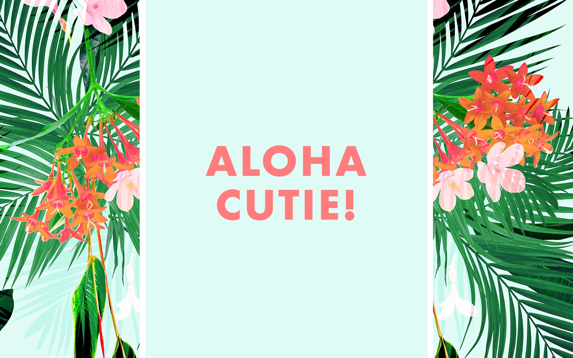 aloha wallpaper,pianta,foglia,albero,fiore,illustrazione