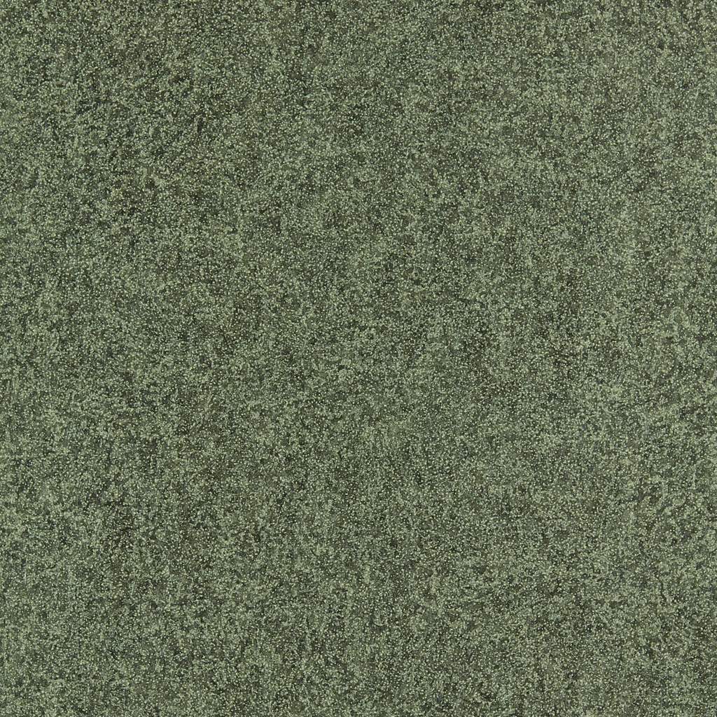 papier peint galuchat,vert,marron,herbe,sol,sol
