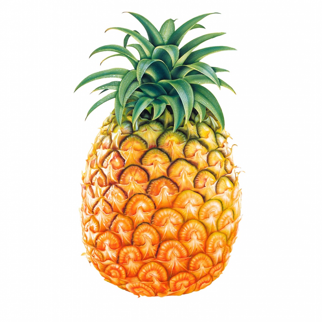piña fondo de pantalla hd,piña,ananas,fruta,planta,naranja