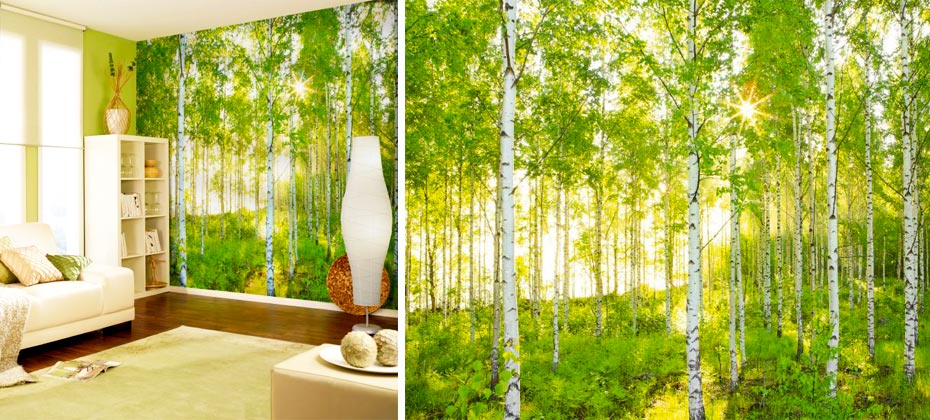 almacén de constructores de papel tapiz,naturaleza,árbol,verde,paisaje natural,diseño de interiores