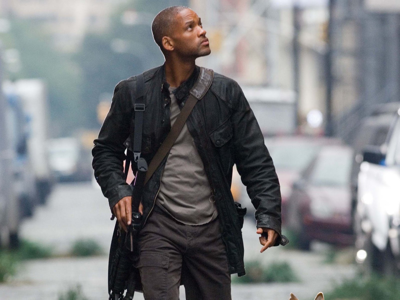 Will Smith I Am Legend Wallpaperuse