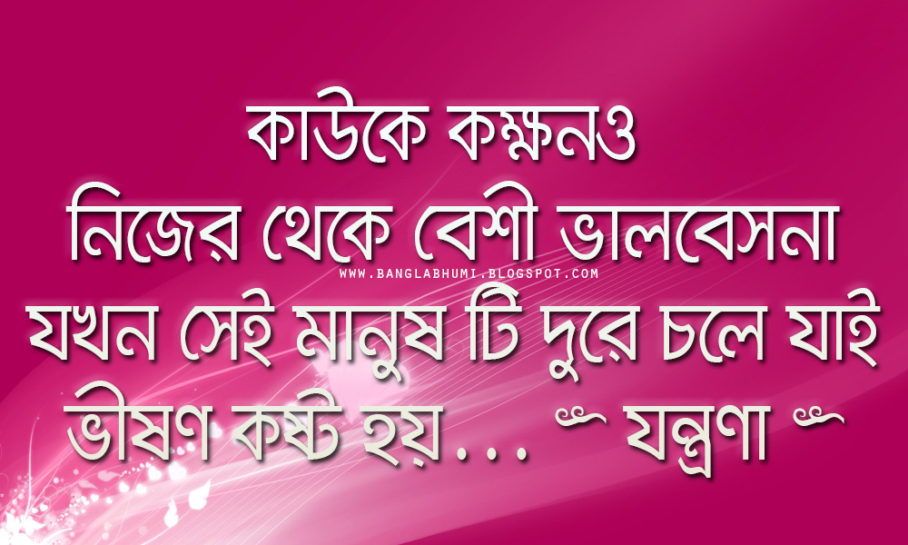 bangla love wallpaper,testo,font,rosa,viola,linea