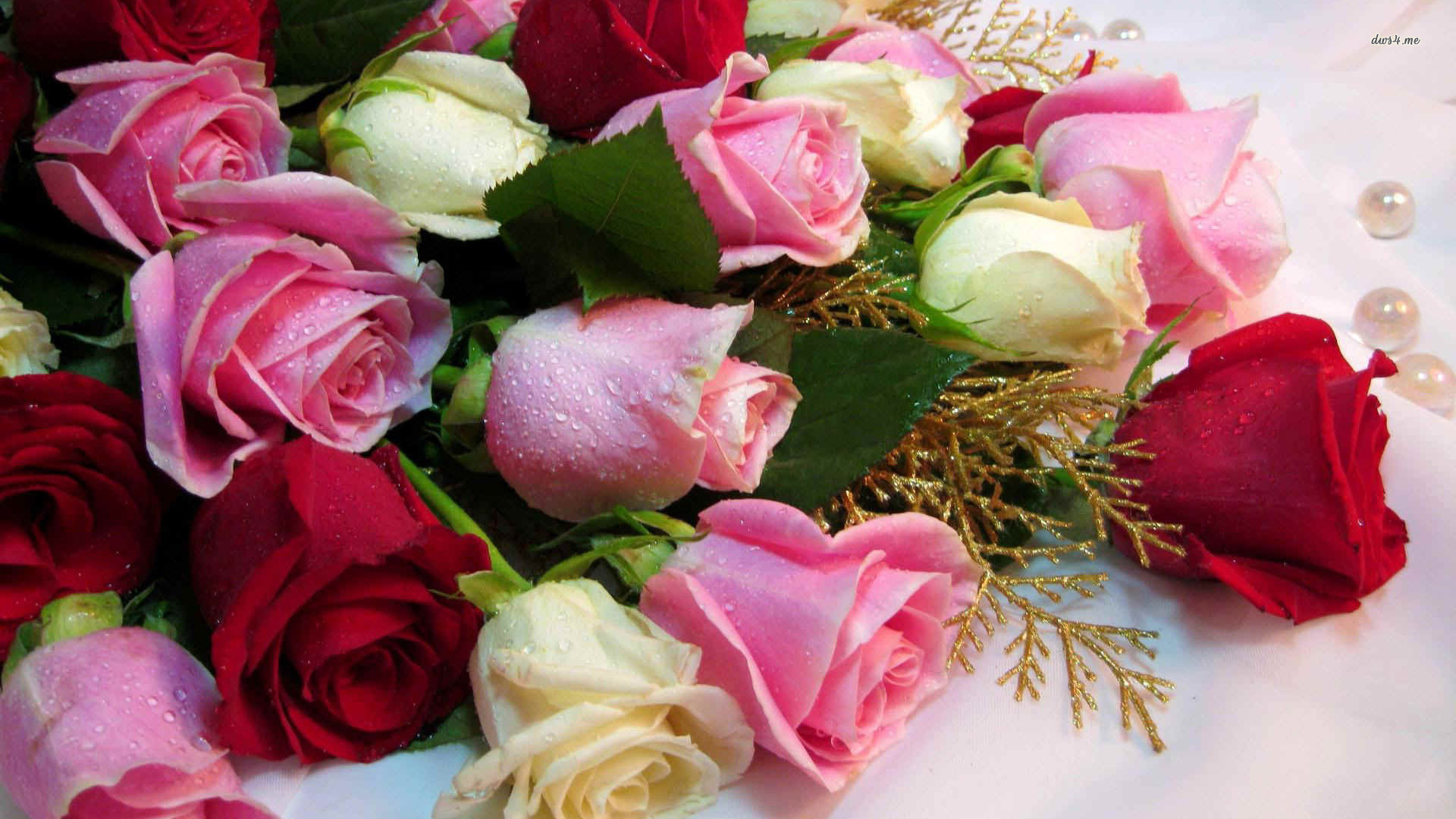 carta da parati bouquet,fiore,rose da giardino,mazzo,rosa,tagliare i fiori