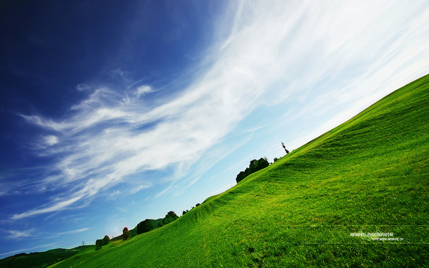 ロングホーン壁紙,空,緑,草原,自然の風景,自然