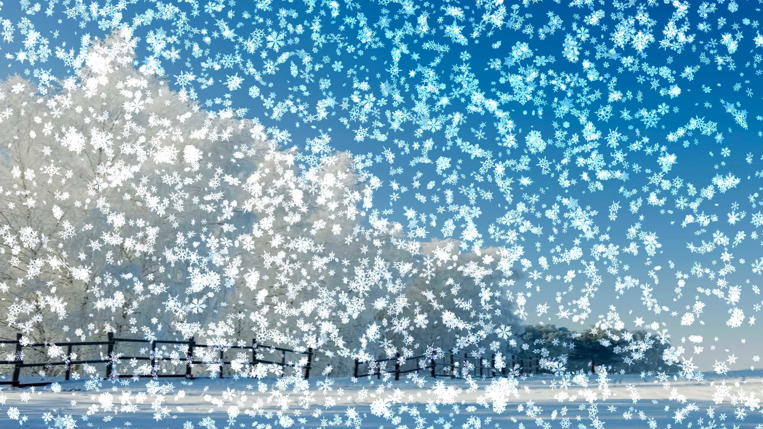 アニメーションの雪の壁紙,水,空,パターン,霜
