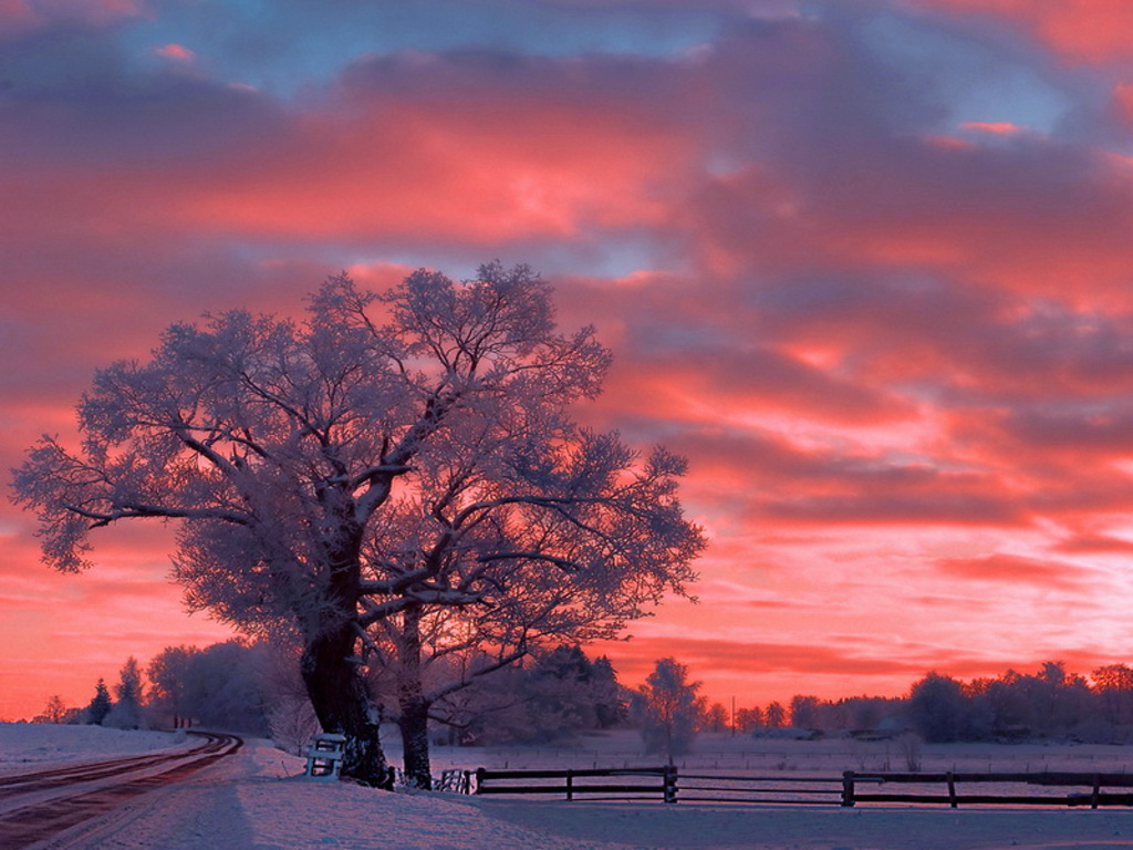 壁紙の雪の写真,空,朝の赤い空,自然の風景,自然,残照