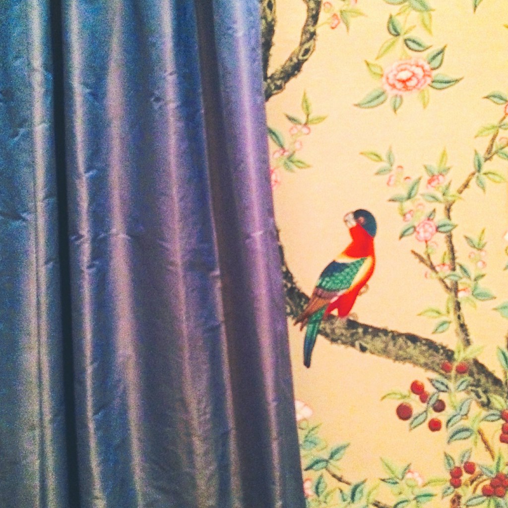 carta da parati a tema asiatico,uccello,tessile,pianta,tenda,pappagallo