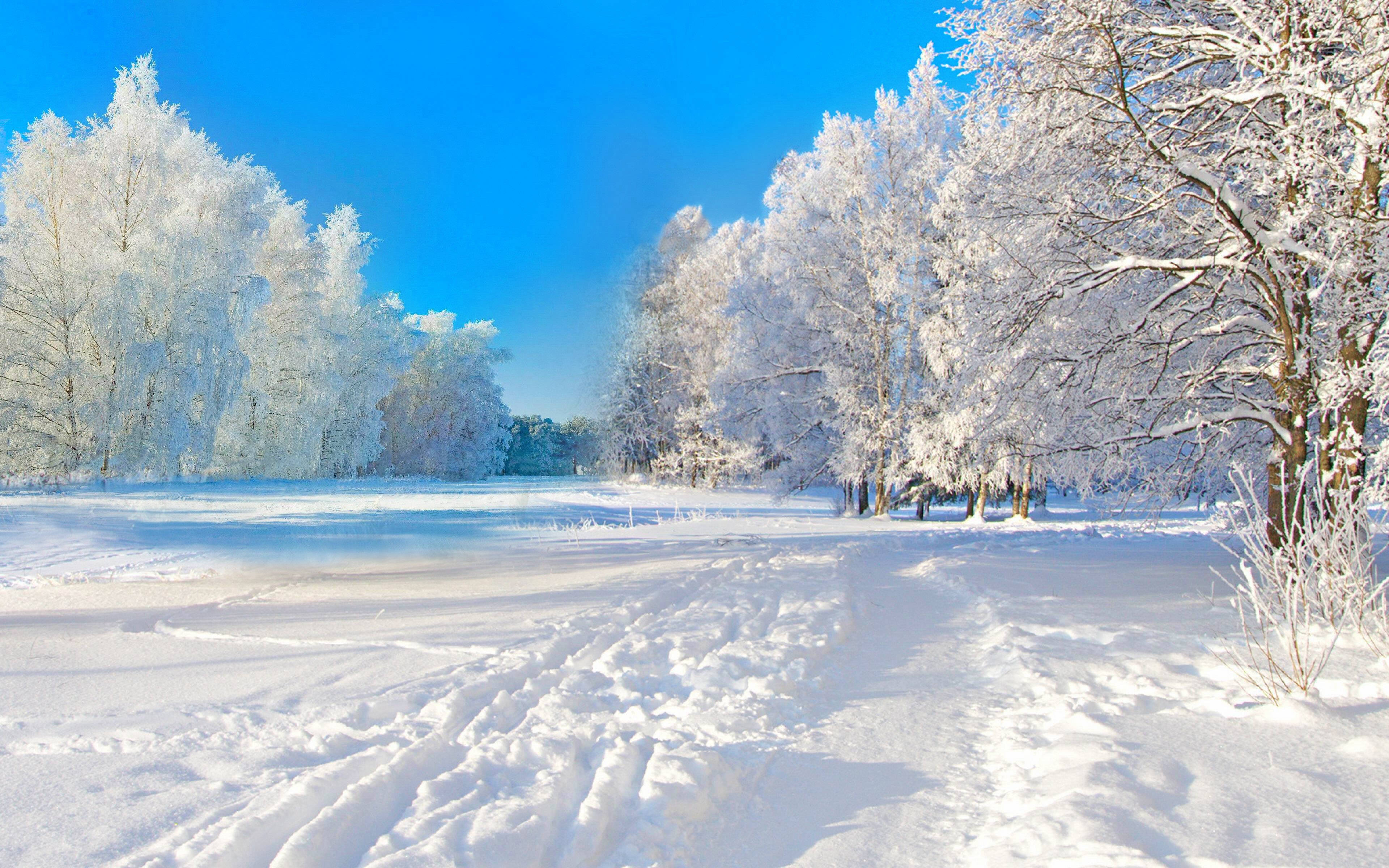 Engel Måned øje winter wallpaper 4k,snow,winter,sky,nature,tree (#393587) - WallpaperUse