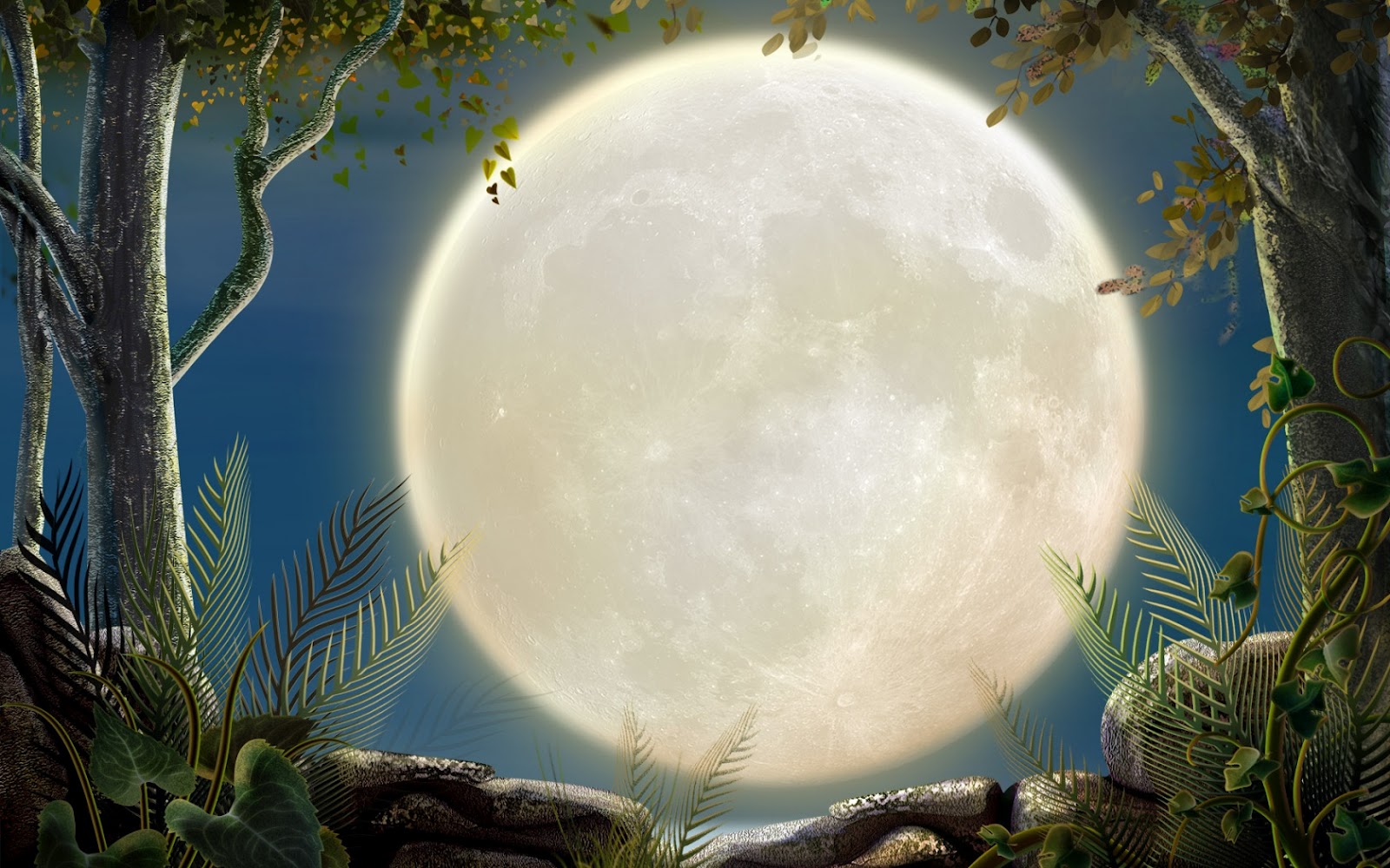 fondos de pantalla extraordinarios,naturaleza,cielo,tiempo de día,luna,esfera