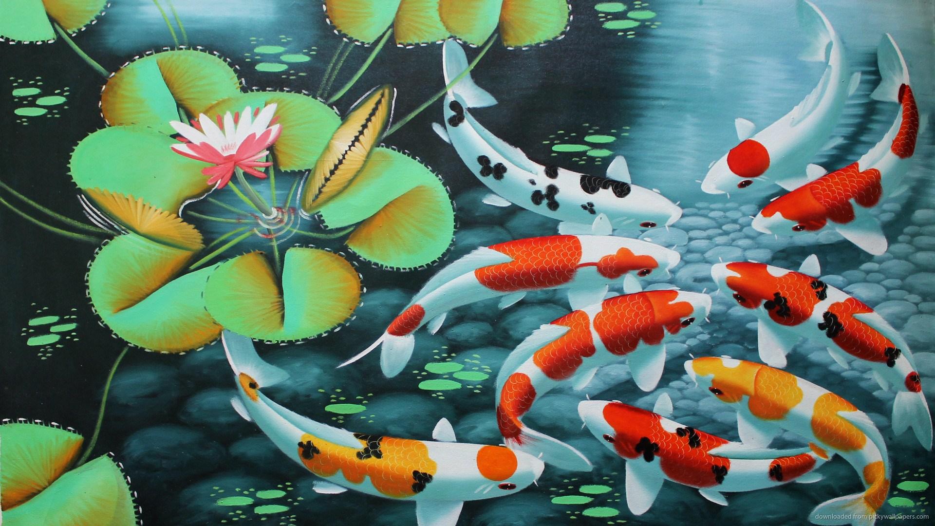 Koi Fish Live Wallpaper Full Version Free Download - Koi Fish Wallpaper
