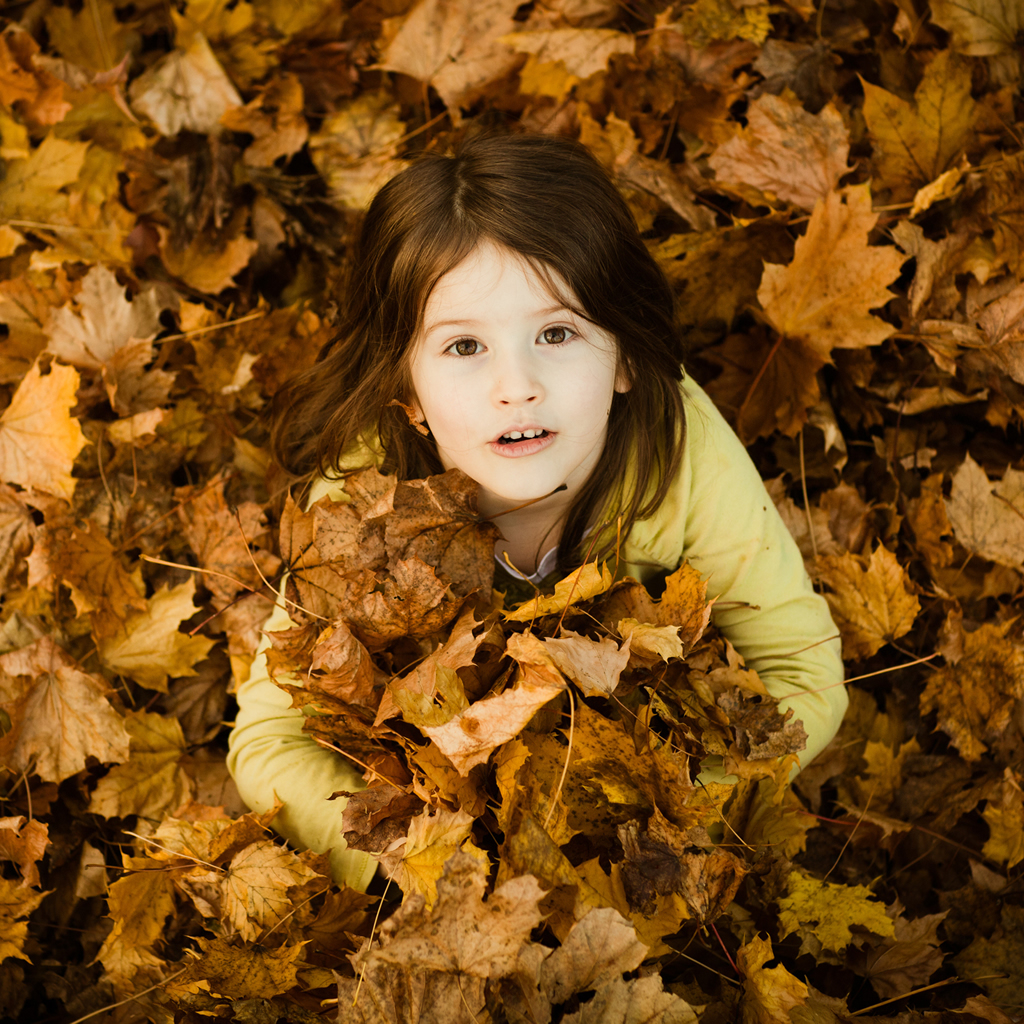 女の子のためのかわいい壁紙,葉,秋,黄,美しさ,子