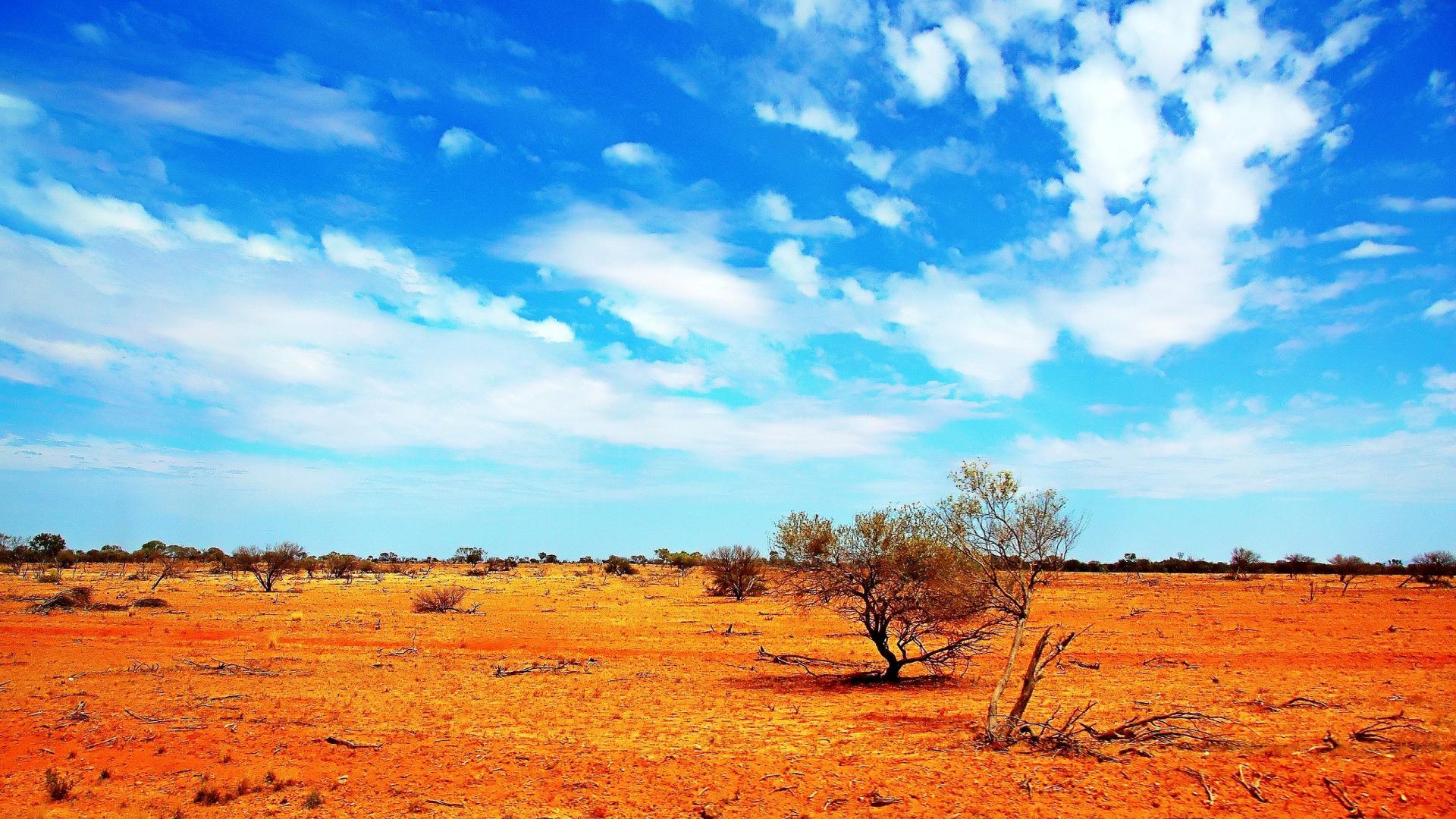 australische tapete,himmel,natürliche landschaft,natur,savanne,einfach