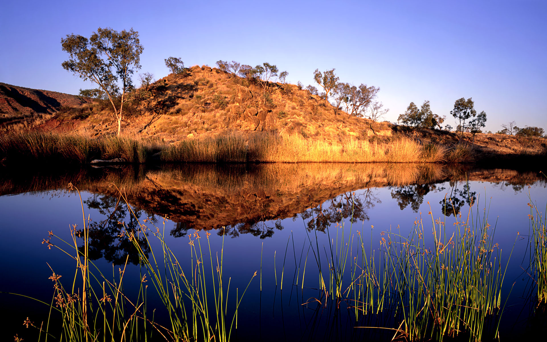 fondo de pantalla australien,reflexión,paisaje natural,naturaleza,agua,cielo
