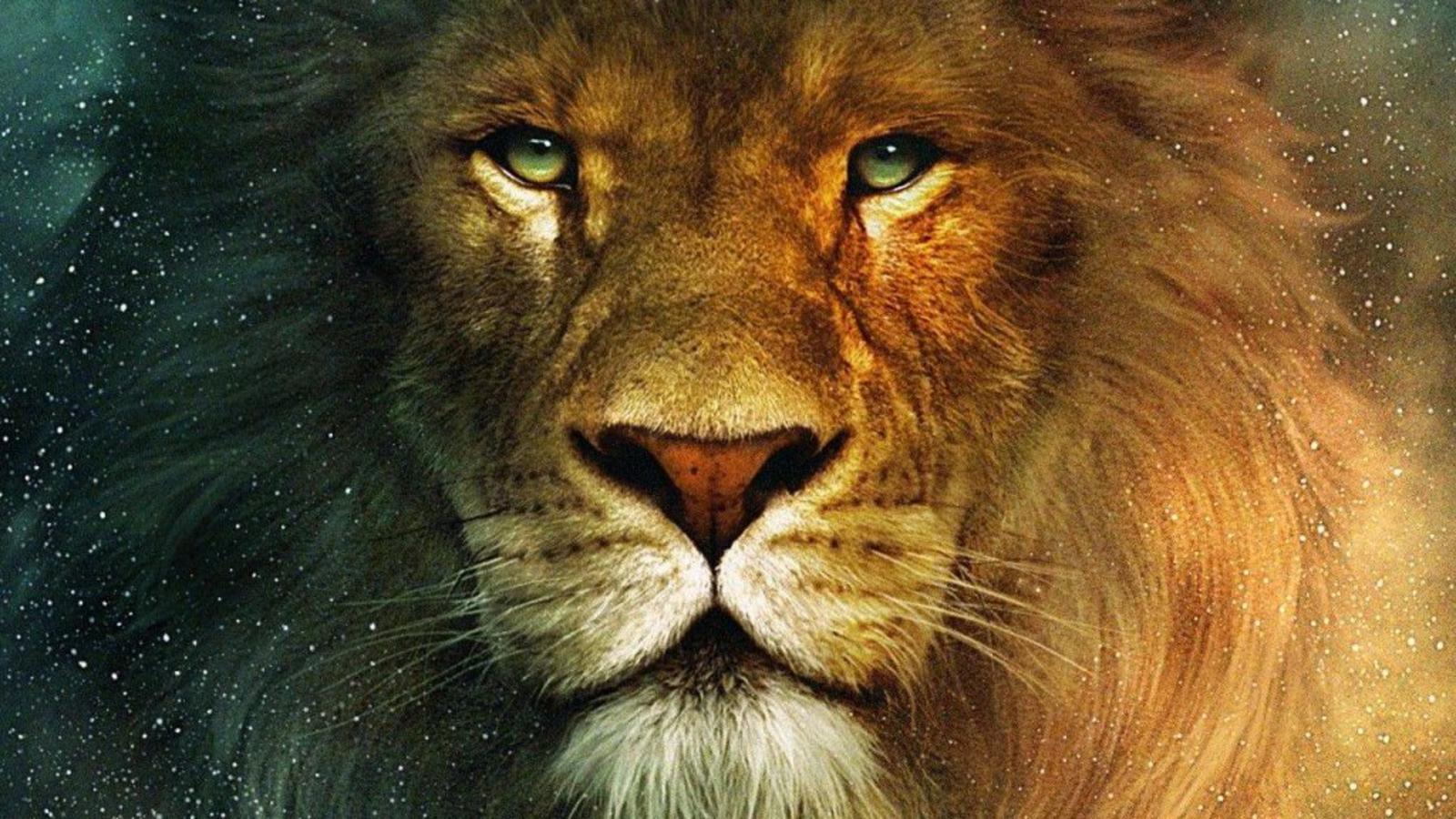 Aslan The Lion From Narnia Cronicas De Narnia Leao Wallpaperuse