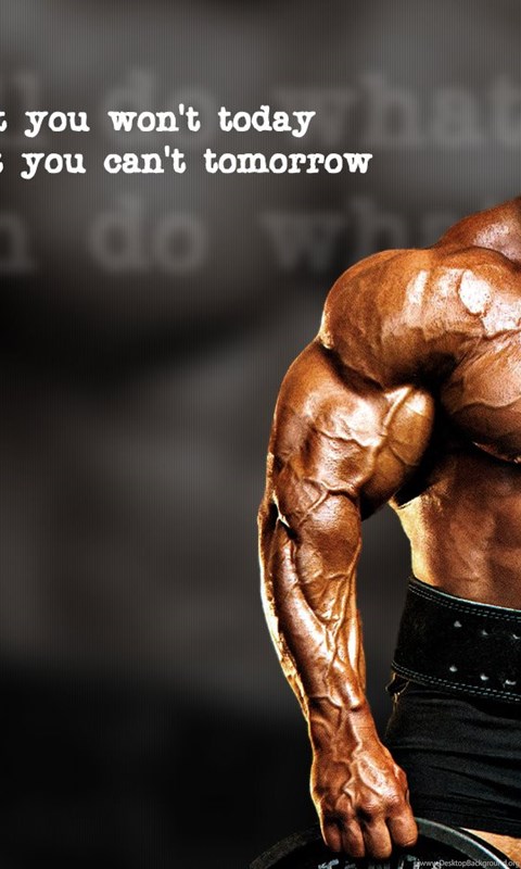 body builder hd fond d'écran,la musculation,bodybuilder,forme physique,épaule,boucle de biceps