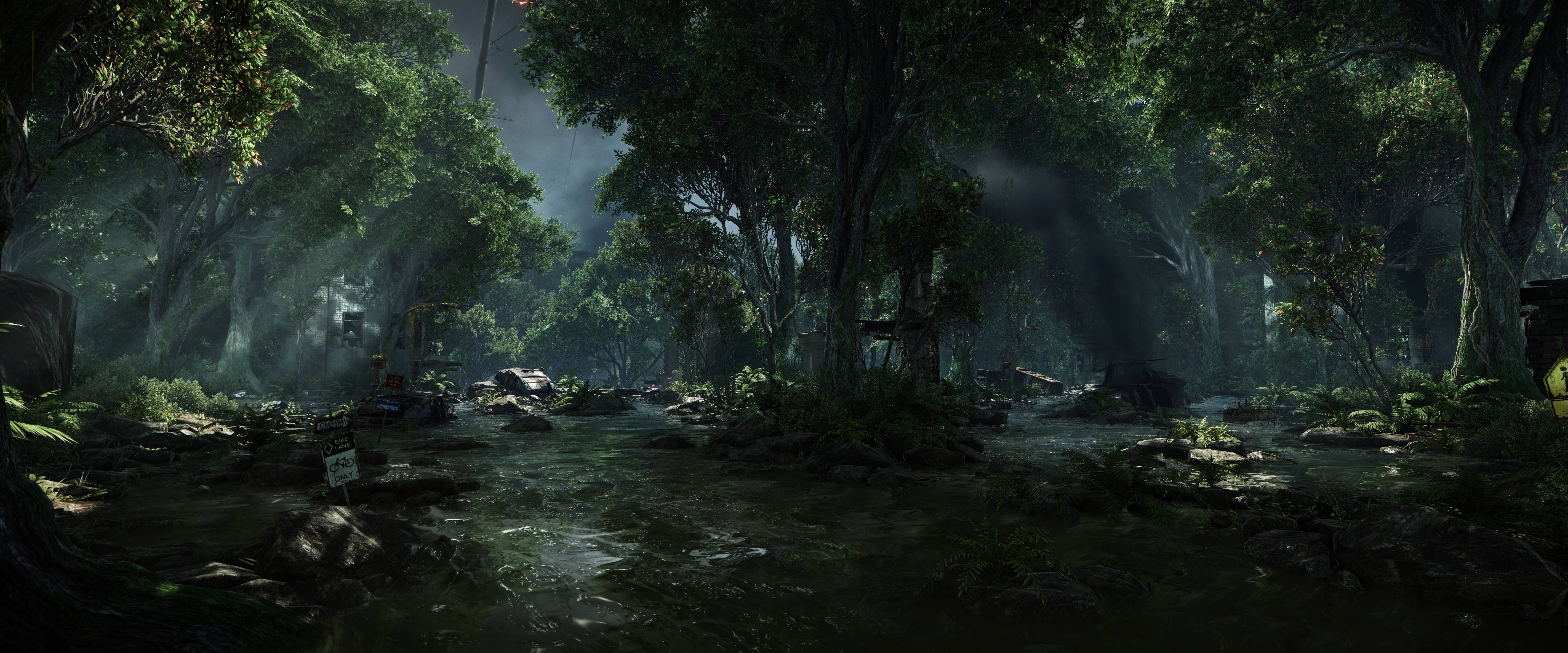 descarga de fondo de pantalla de resolución 64k,naturaleza,paisaje natural,selva,bosque,bosque de crecimiento antiguo