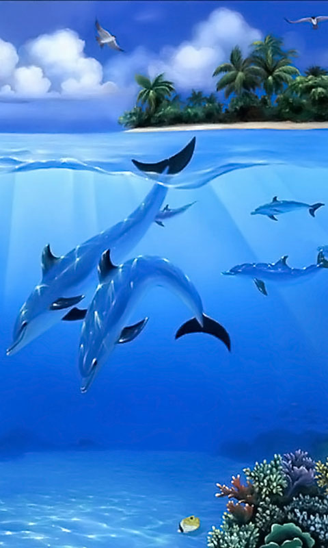 480x800 fonds d'écran hd samsung,biologie marine,dauphin,océan,paysage naturel,mammifère marin