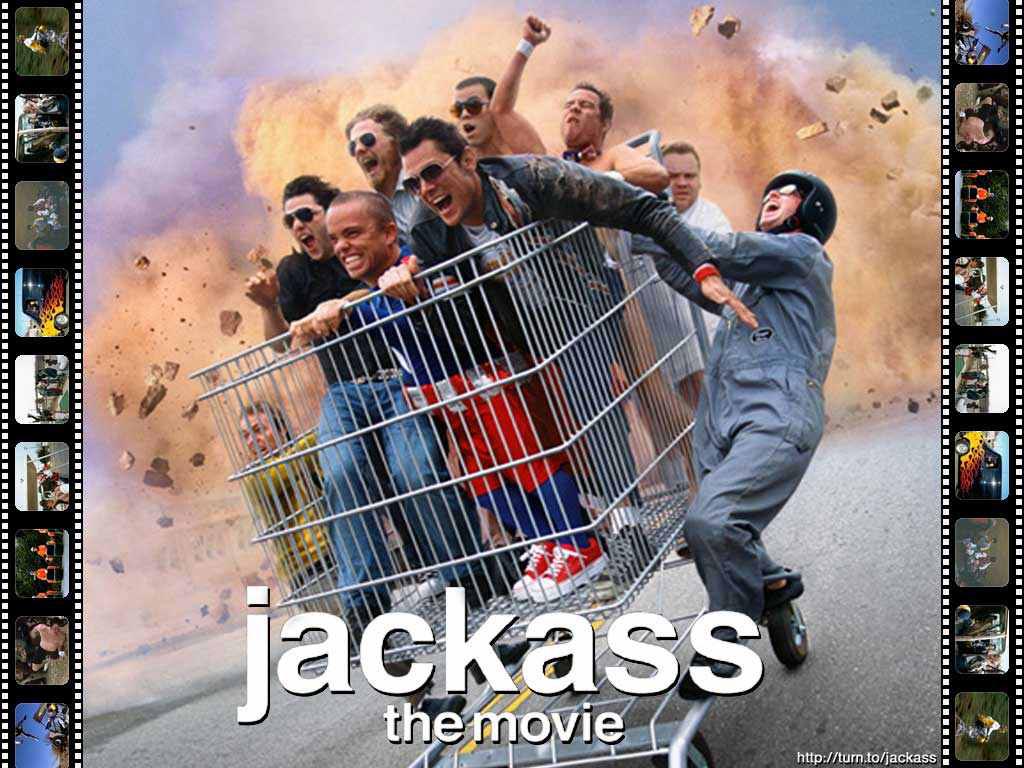 fondo de pantalla de jackass,película,póster,portada del álbum,fuente,fotografía