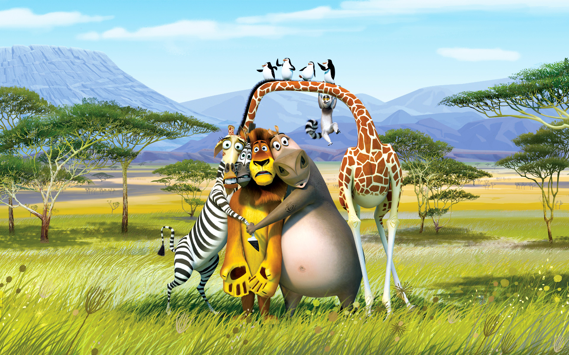 fondo de pantalla de madagascar,pradera,animal terrestre,fauna silvestre,dibujos animados,cebra