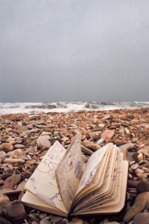 kitap wallpaper,wood,rock,photography,stock photography,sea