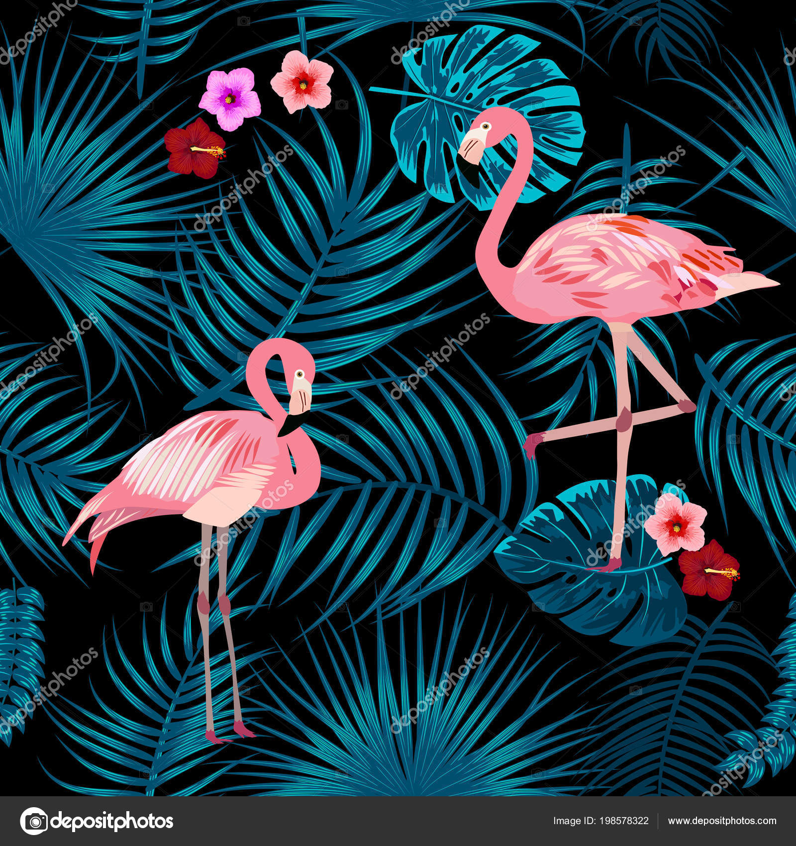 kitap wallpaper,vogel,flamingo,größerer flamingo,wasservogel,rosa