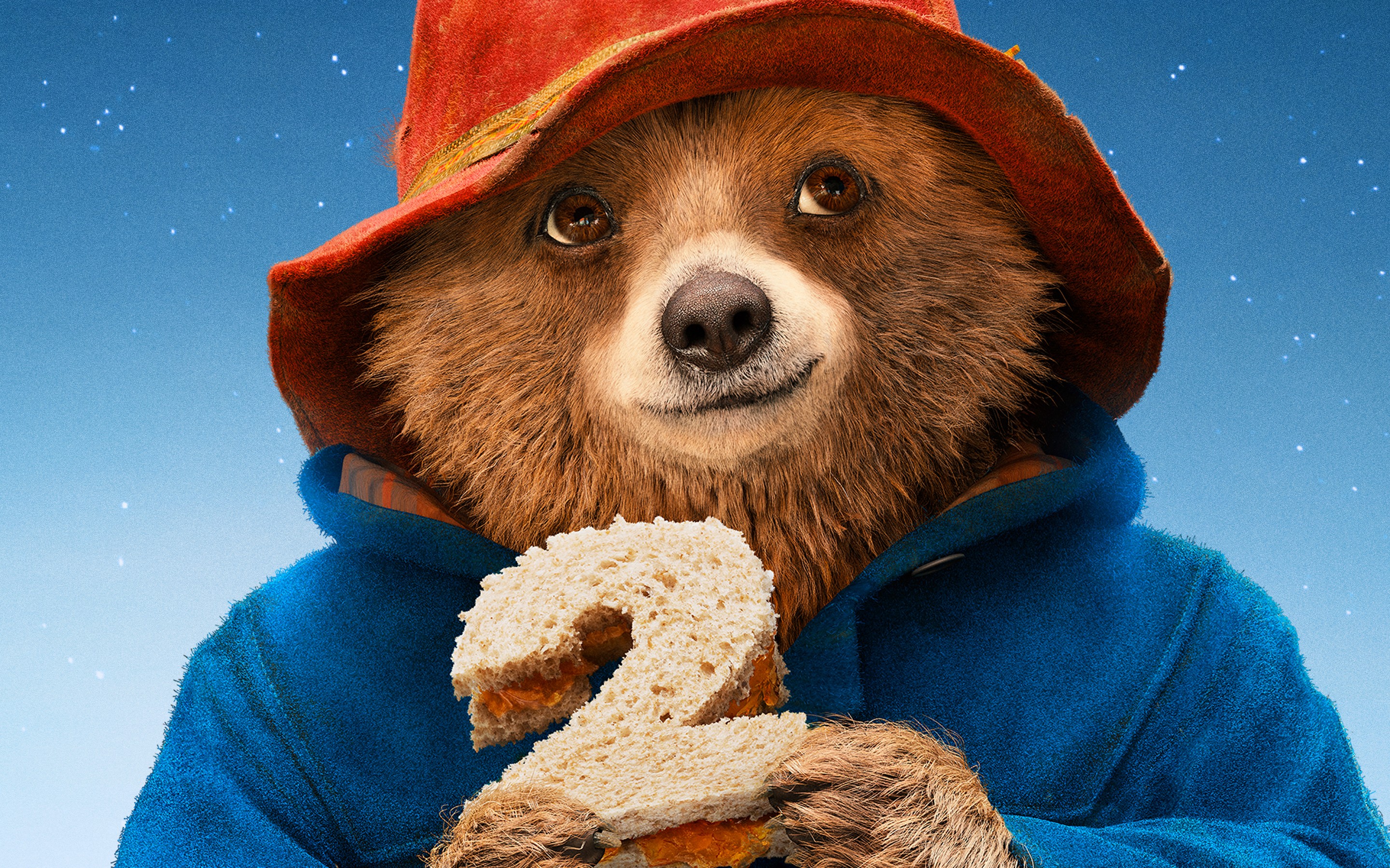 fondo de pantalla de paddington,oso grizzly,sombrerería,oso café,oso,sonrisa
