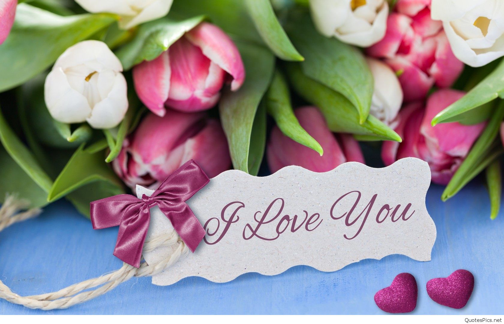 2016 amor fondo de pantalla,flor,rosado,tulipán,planta,primavera
