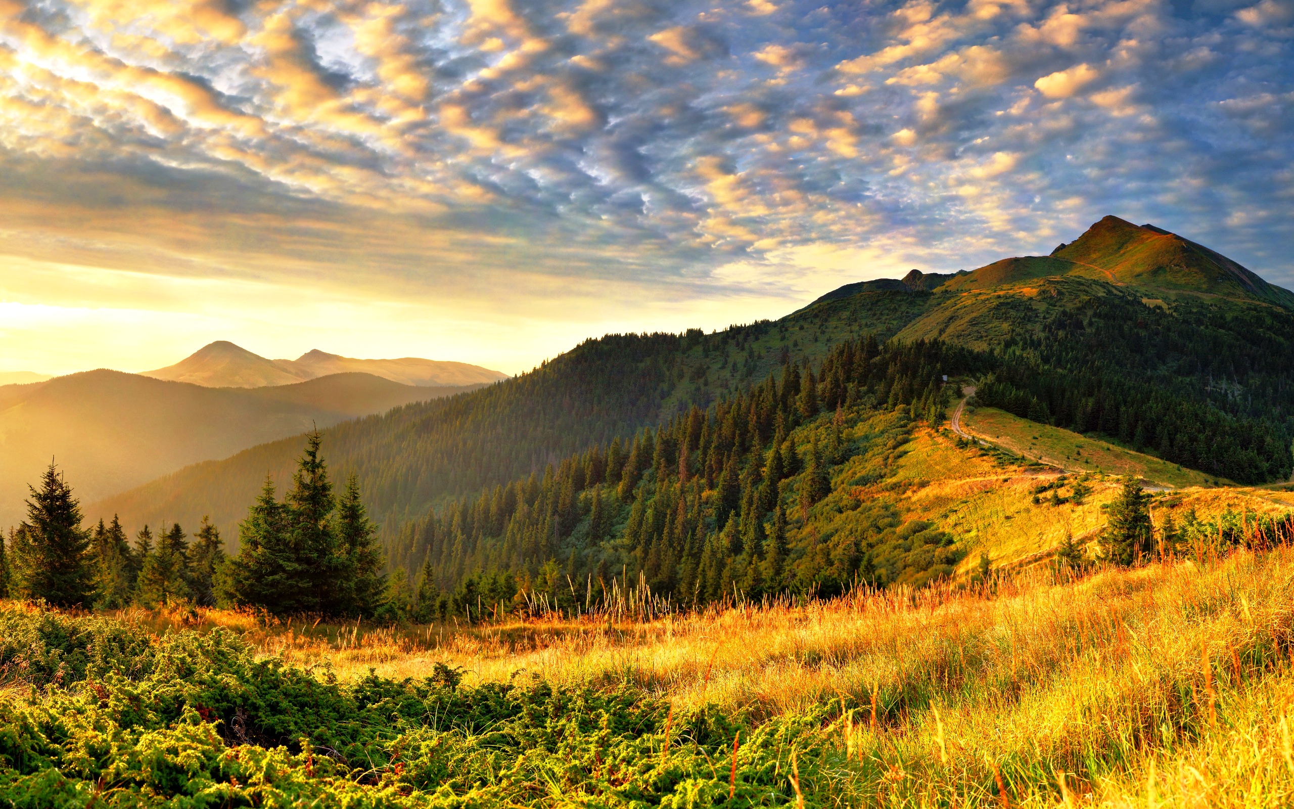 buena naturaleza fondo de pantalla,paisaje natural,naturaleza,cielo,montaña,colina