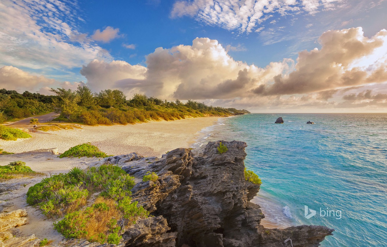 バミューダ壁紙,水域,自然の風景,海岸,自然,岸