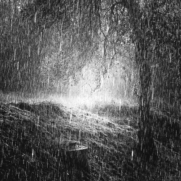 fond d'écran pluie,l'eau,la nature,noir et blanc,paysage naturel,photographie monochrome