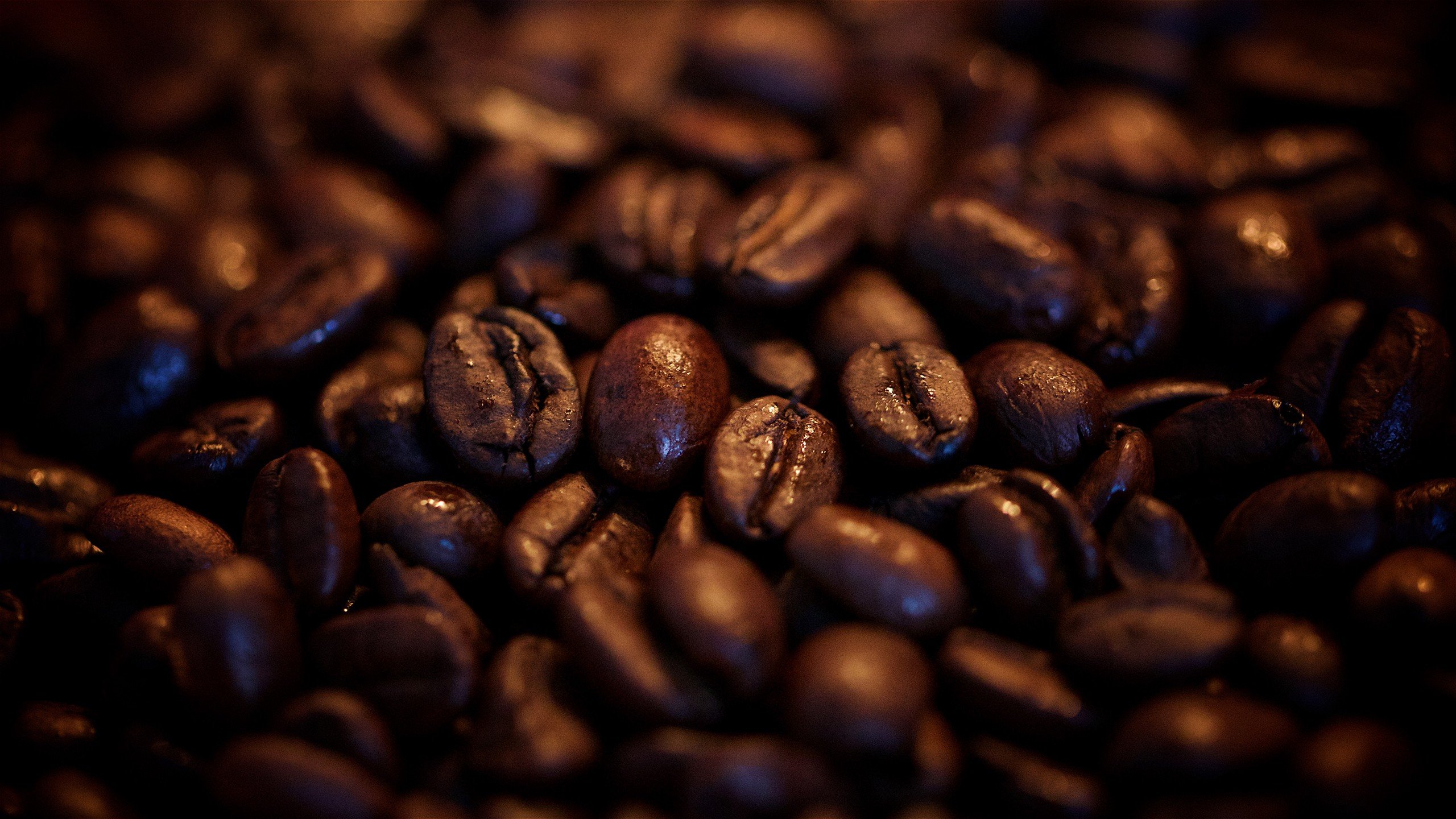 커피 빈 벽지,카페인,단일 원산지 커피,자바 커피,음식,콩