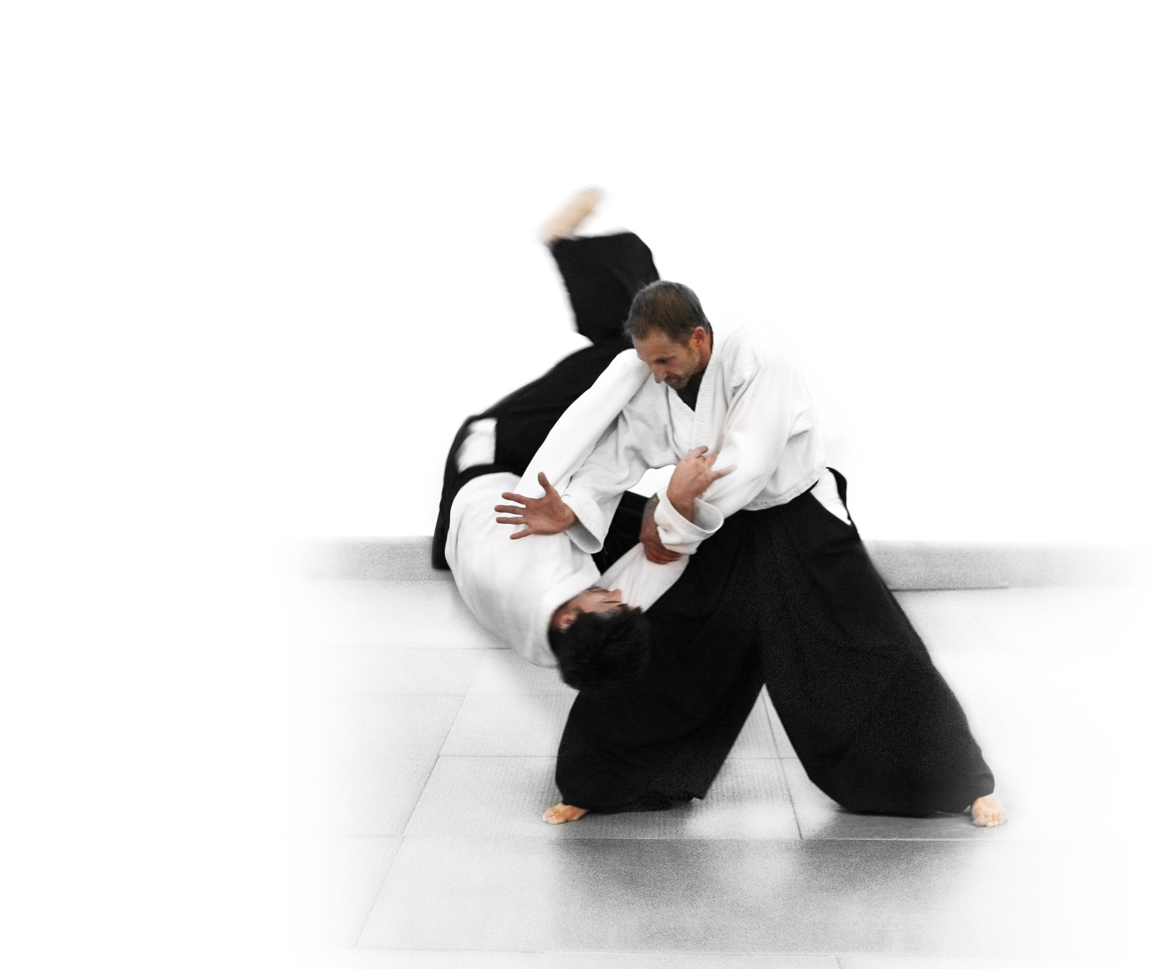 fond d'écran d'aikido,aikido,kinomichi,arts martiaux,hapkido