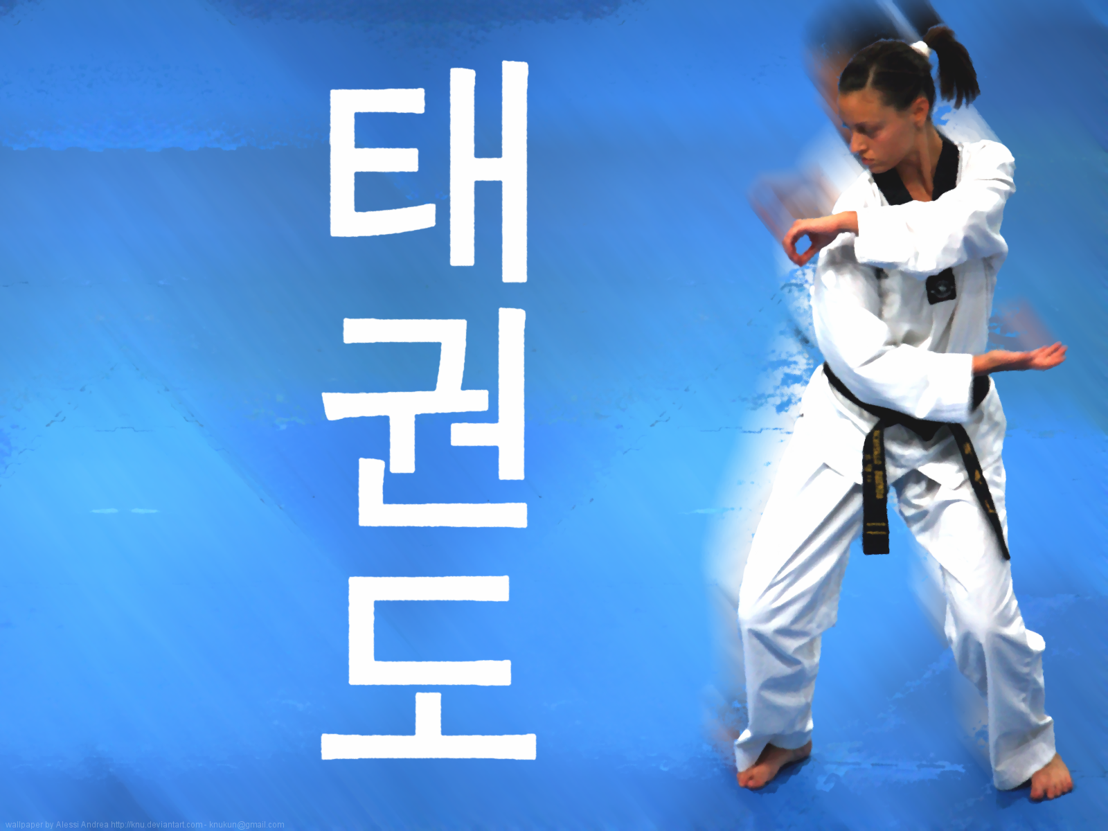 carta da parati tkd,judo,karatè,arti marziali,taekwondo