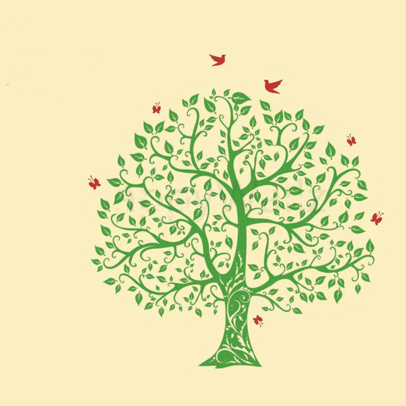 fondo de pantalla del árbol genealógico,árbol,hoja,verde,planta,tallo de la planta