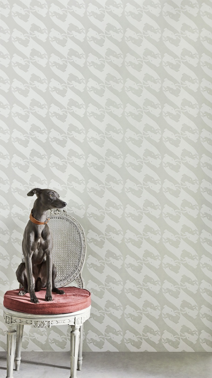 Dog- WallpaperUse