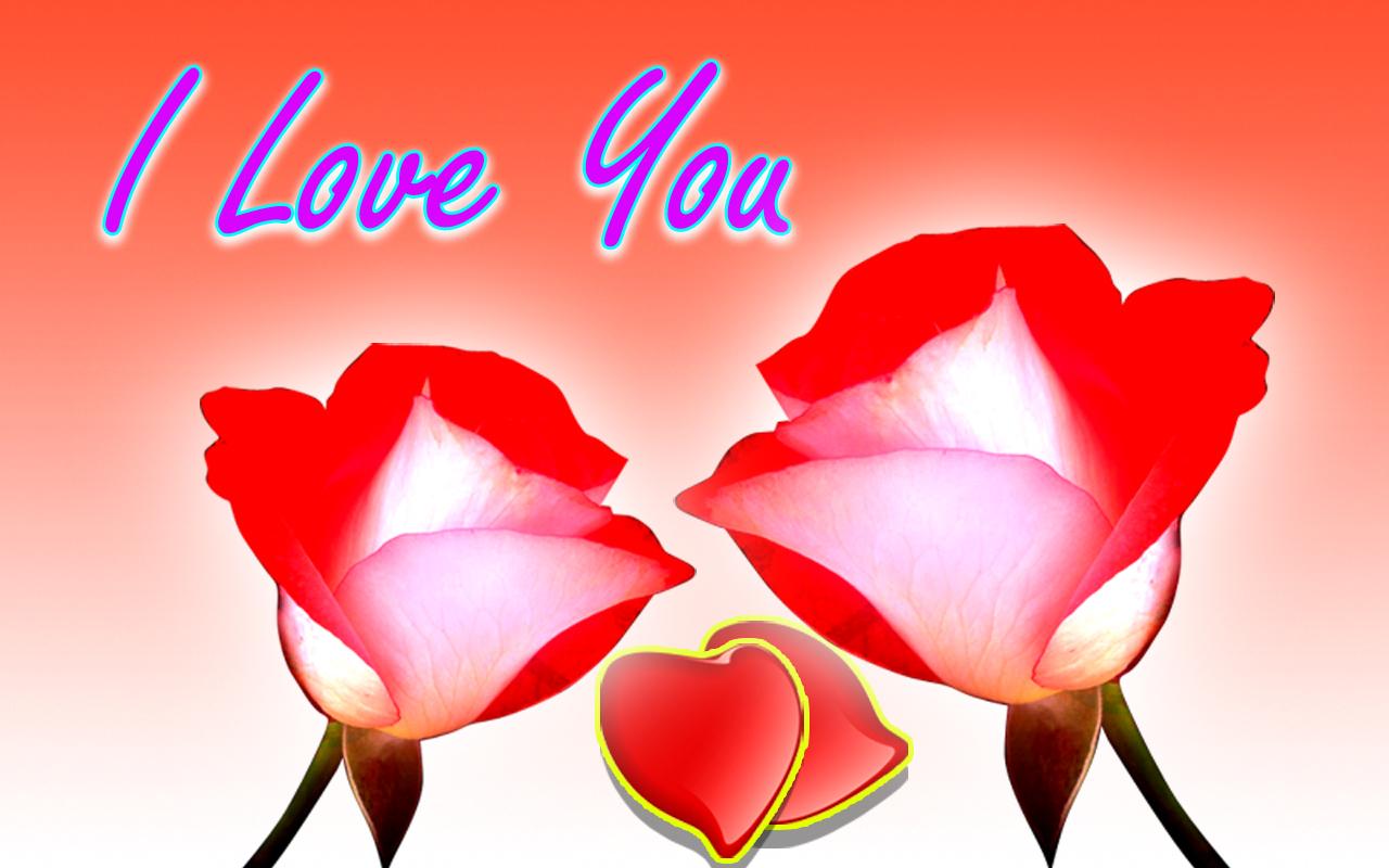 fondo de pantalla de nombre pushpa,pétalo,flor,día de san valentín,amor,planta