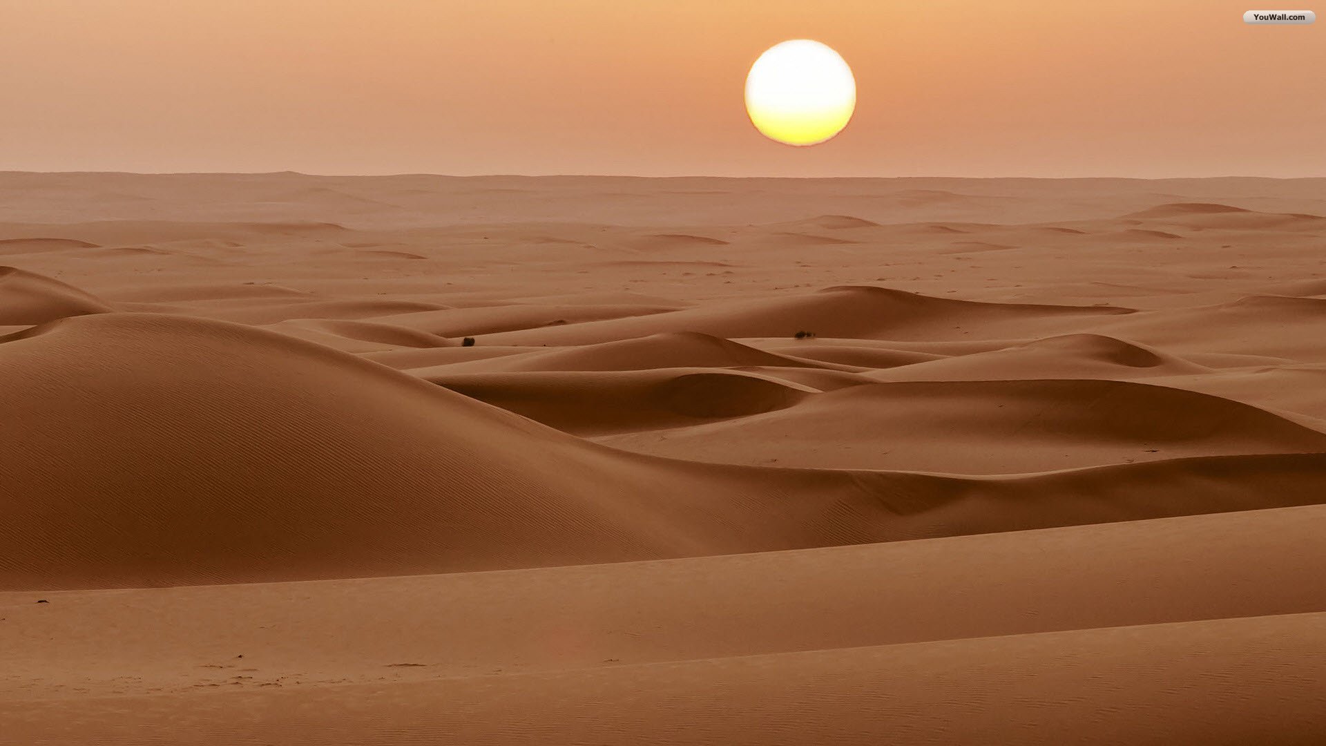 sahara tapete,wüste,sand,erg,sahara,himmel