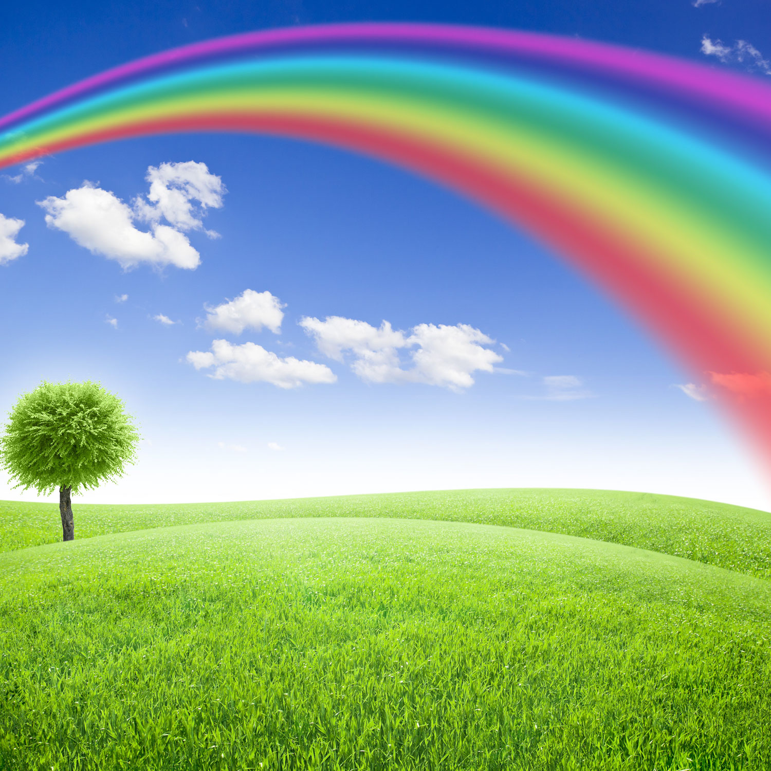 虹の雲の壁紙,自然の風景,虹,草原,空,自然