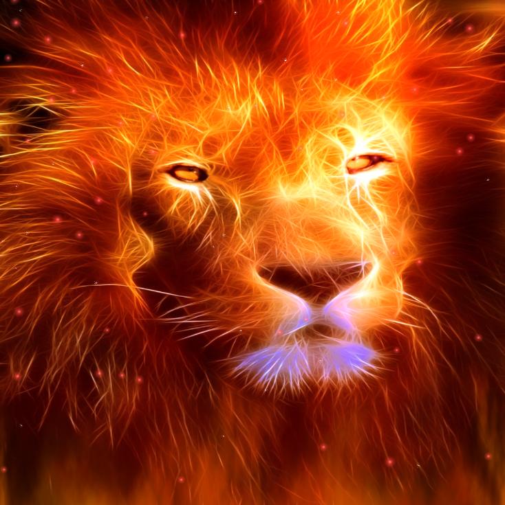 fondo de pantalla de león de fuego,león,felidae,fauna silvestre,grandes felinos,bigotes