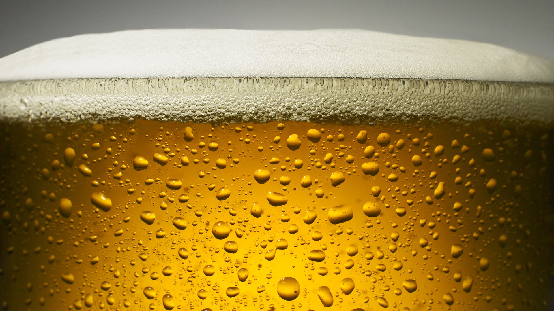 bier fondo de pantalla,agua,amarillo,cerveza,soltar,líquido