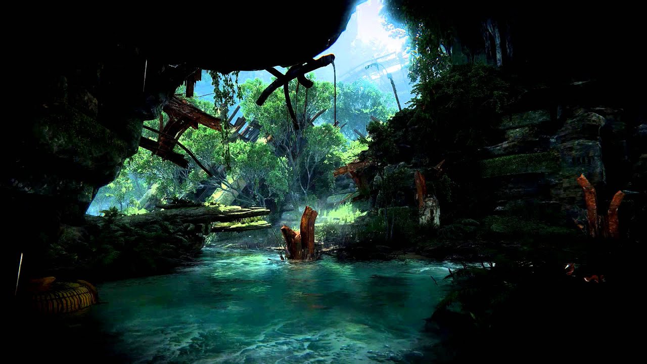 poc fondo de pantalla,naturaleza,agua,selva,árbol,corriente de agua