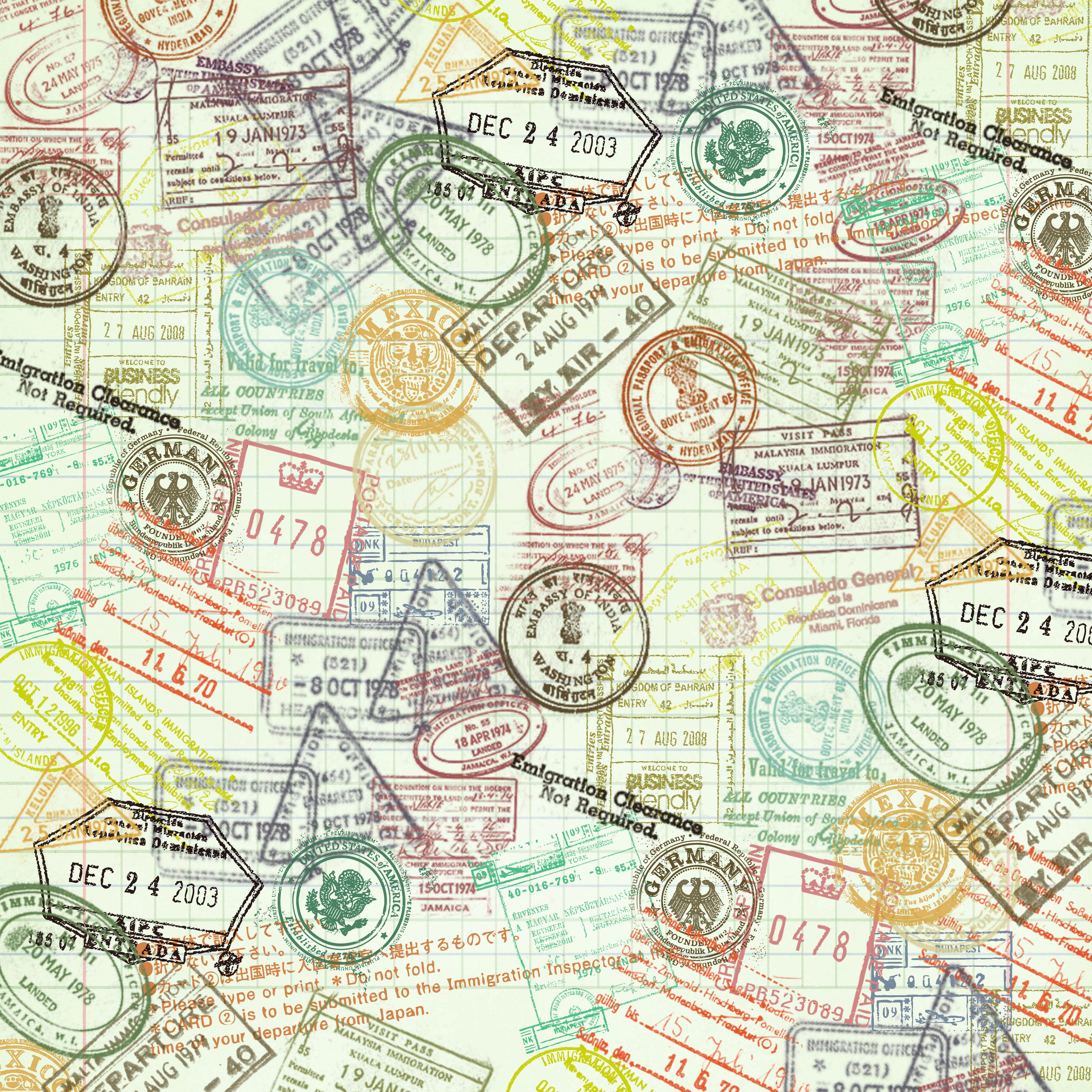 올빼미 벽지,돈,선,현금,지폐,종이